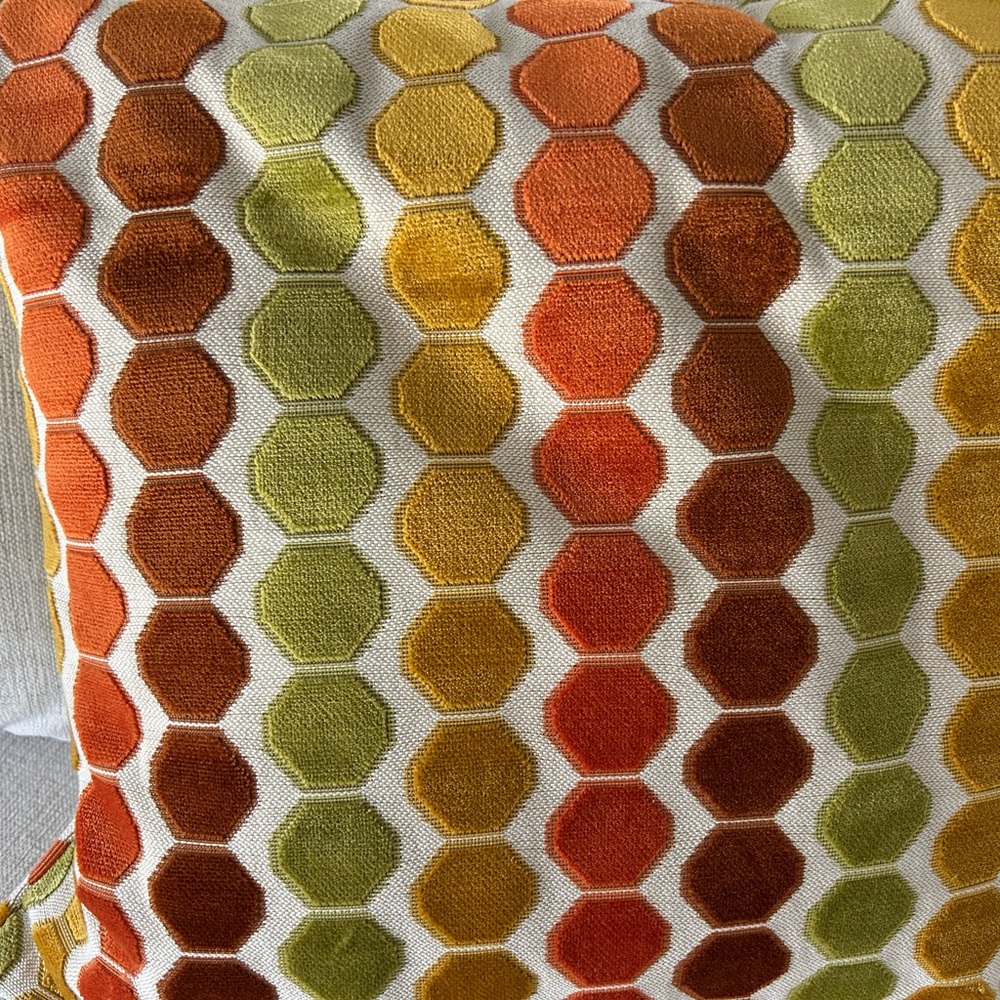 Designer accent pillow from Clive Daniels -20.5 X 20”